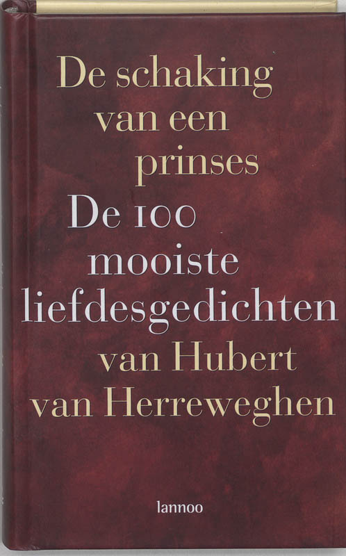 Omslag van De schaking van een prinses