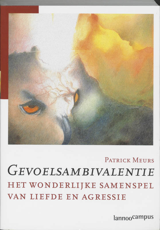 Omslag van Gevoelsambivalentie