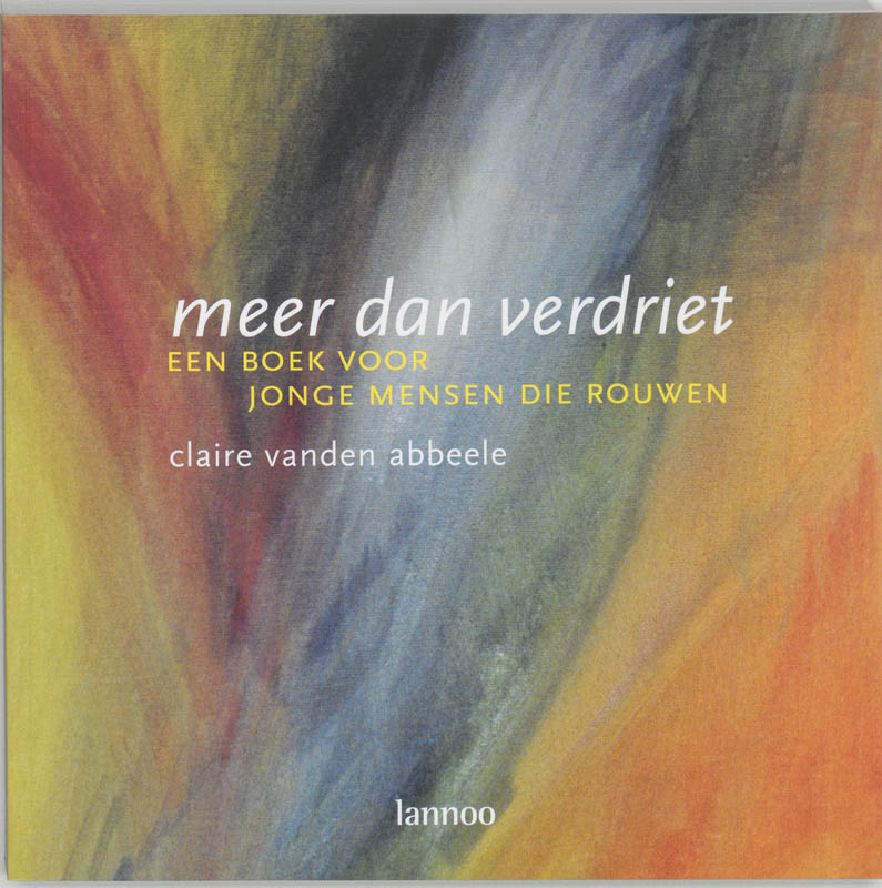 Omslag van Meer dan verdriet