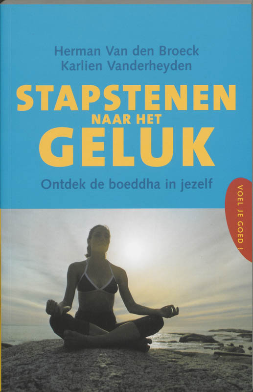 Omslag van Stapstenen naar het geluk