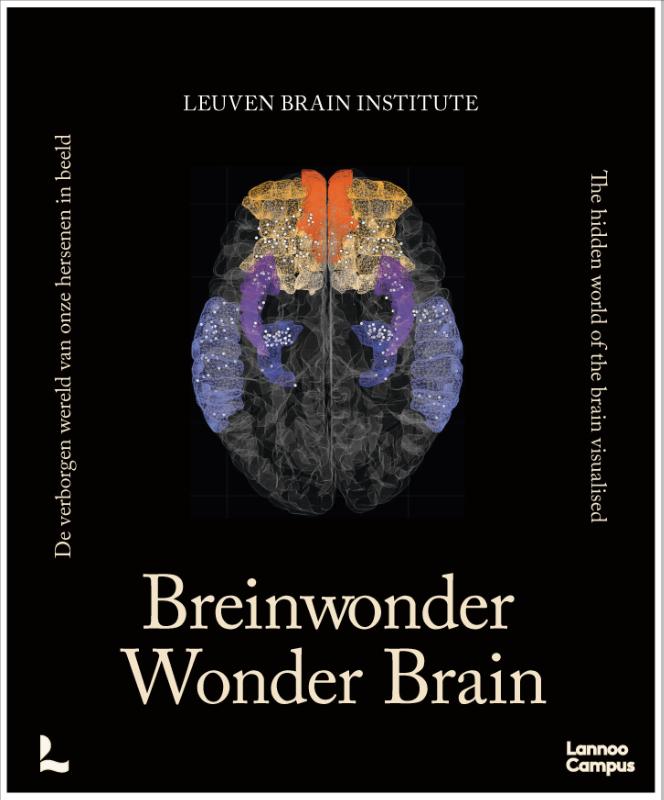 Omslag van Breinwonder / Wonder Brain