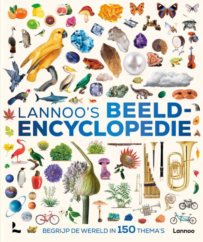 Omslag van Lannoo's beeldencyclopedie