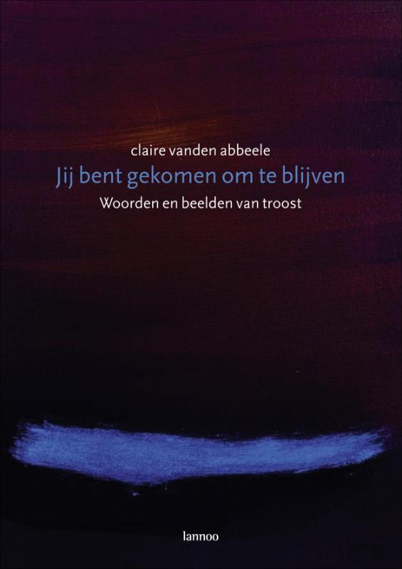 Omslag van Jij bent gekomen om te blijven