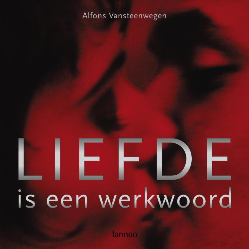 Omslag van Liefde is een werkwoord