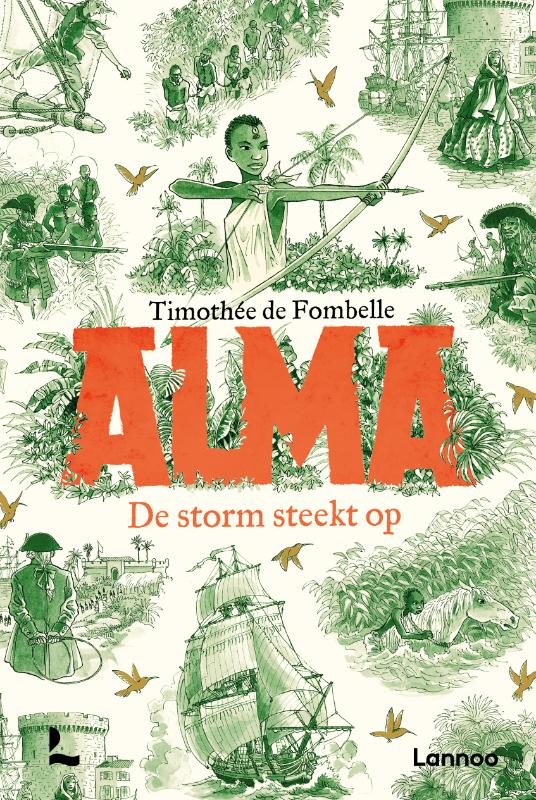 Omslag van De storm steekt op