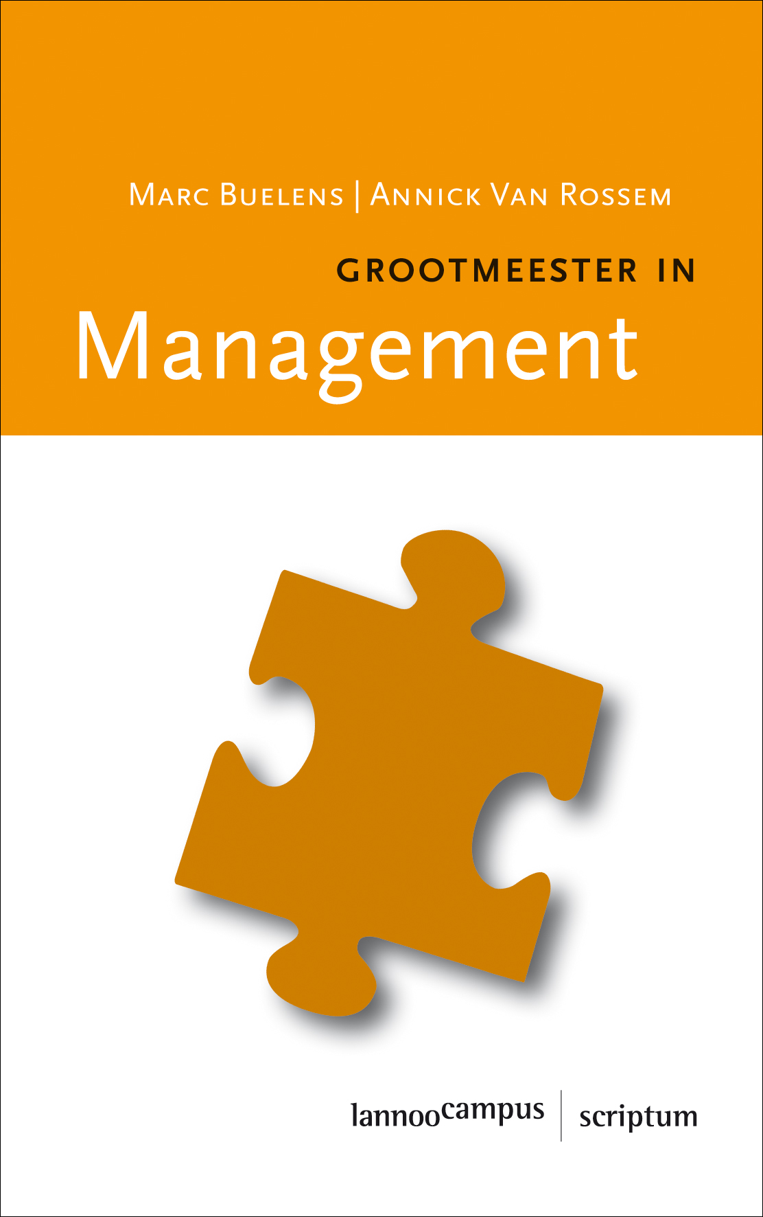 Omslag van Grootmeester in management