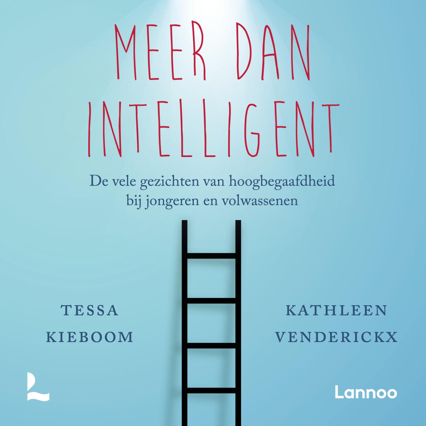 Omslag van Meer dan intelligent