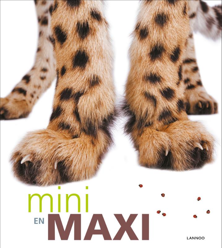 Omslag van Mini en maxi