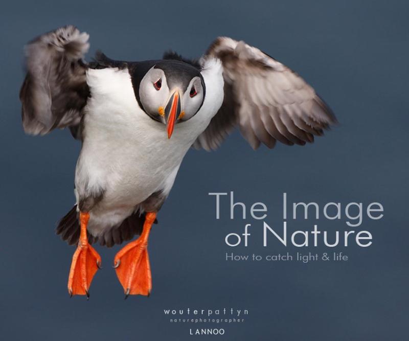 Omslag van The image of nature