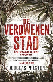 Omslag van De verdwenen stad