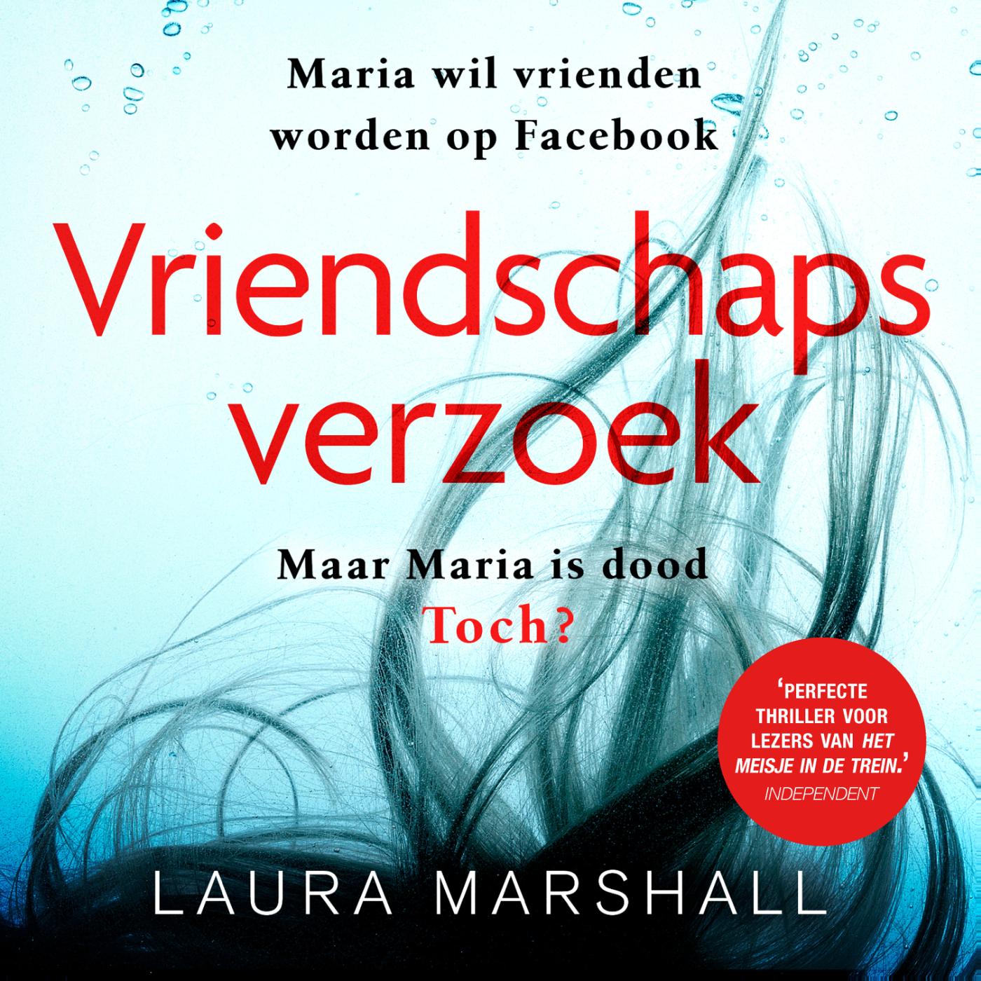 Omslag van Vriendschapsverzoek