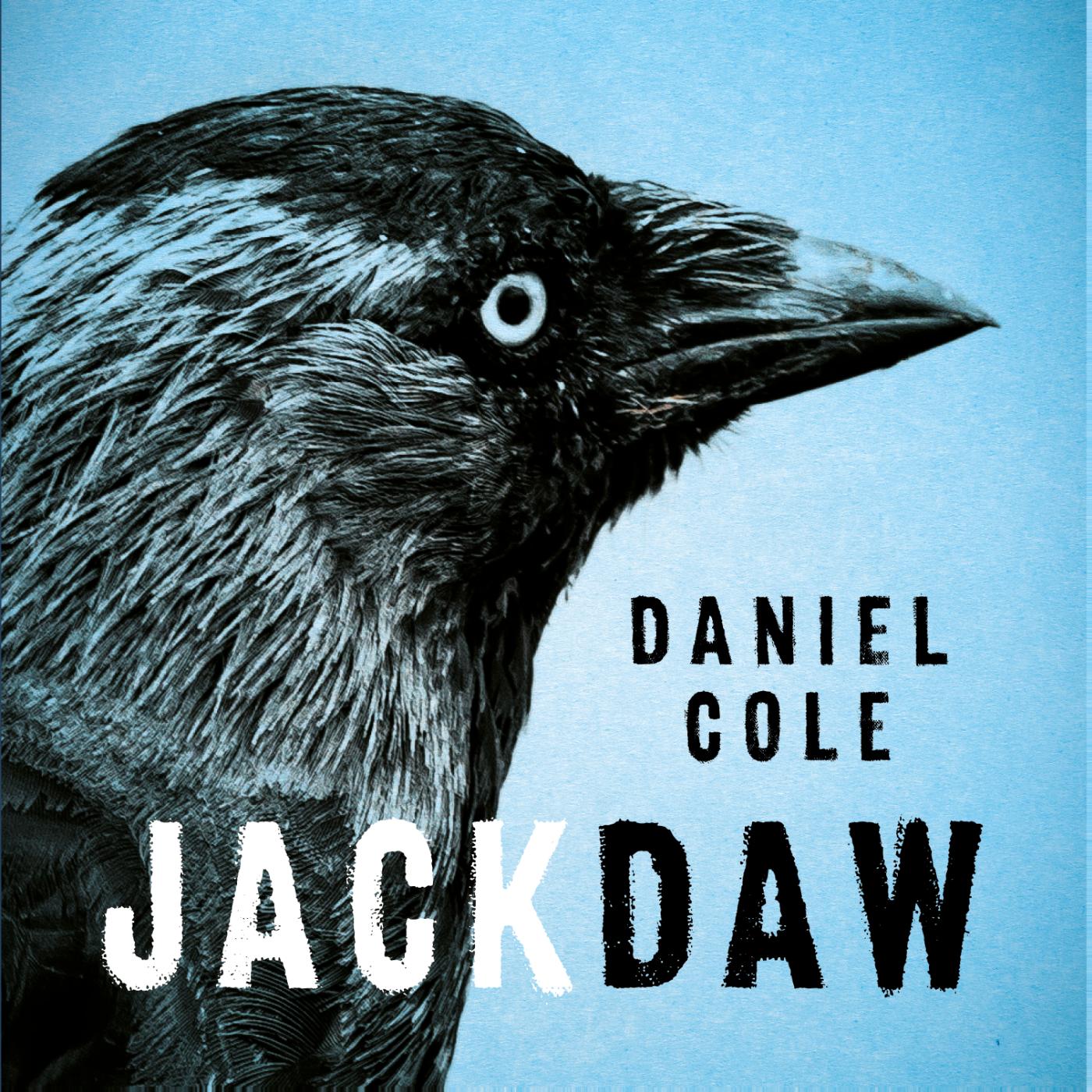 Omslag van Jackdaw