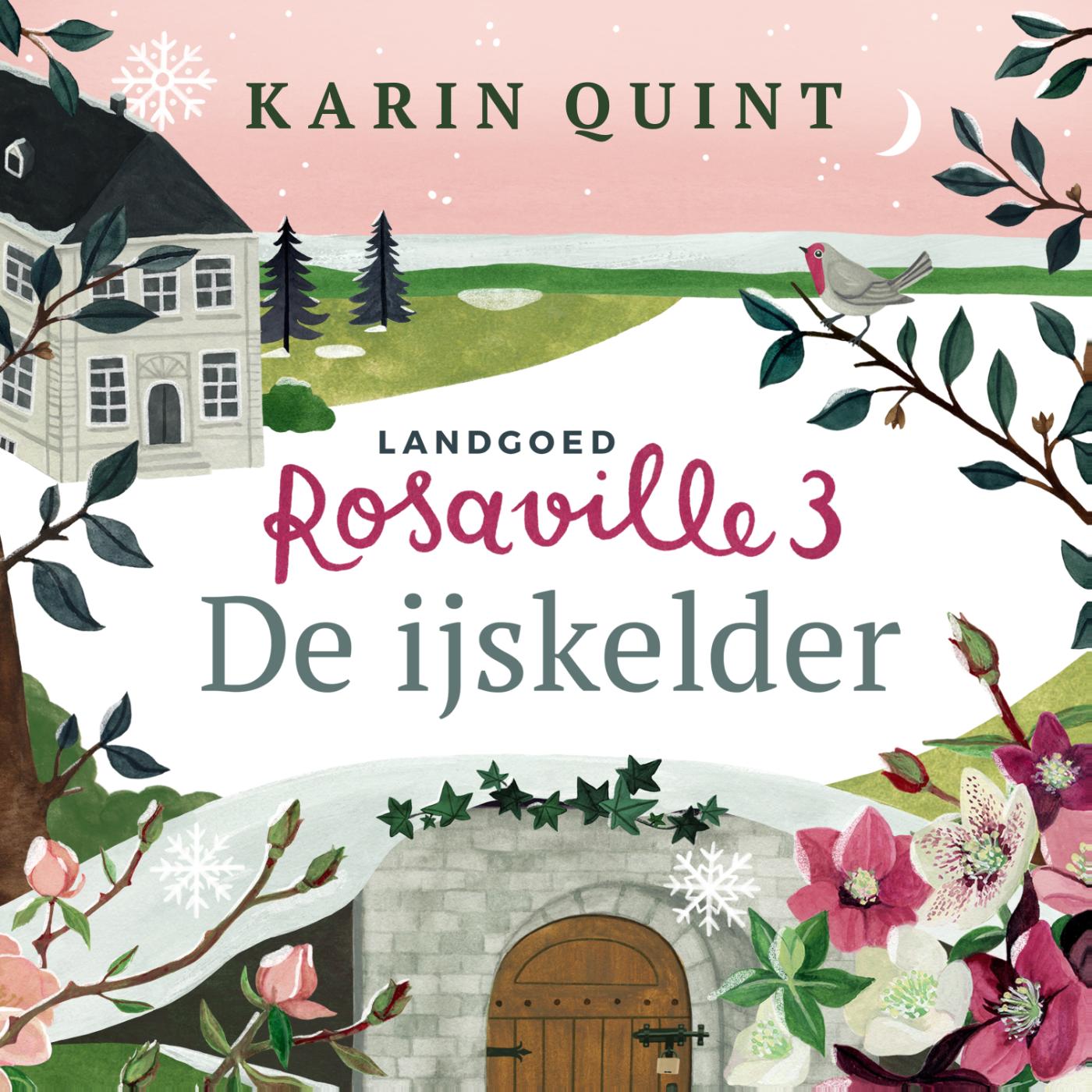 Omslag van De ijskelder