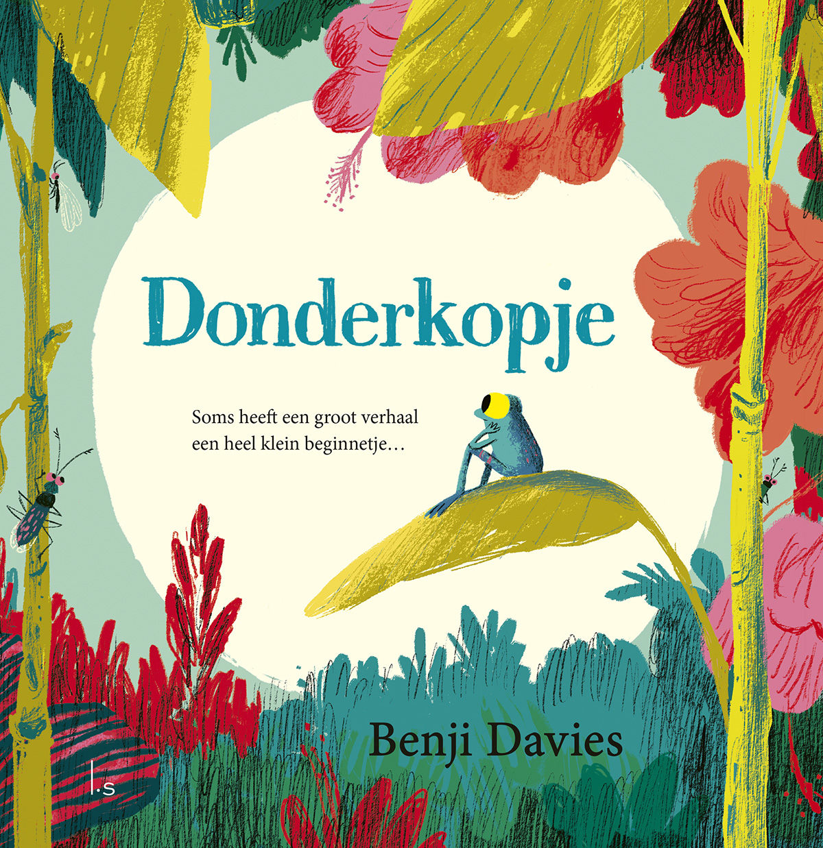 Omslag van Donderkopje