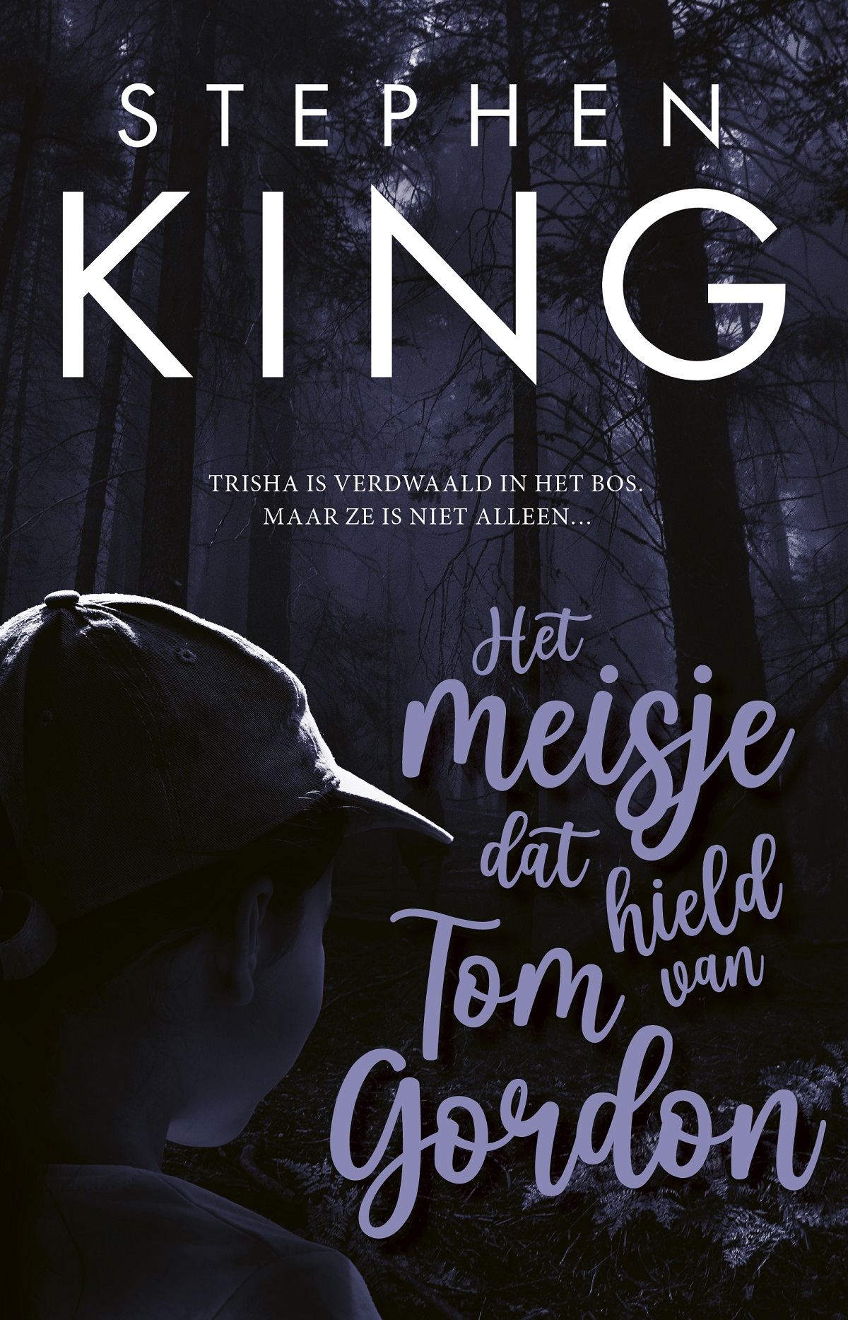 Omslag van Het meisje dat hield van Tom Gordon