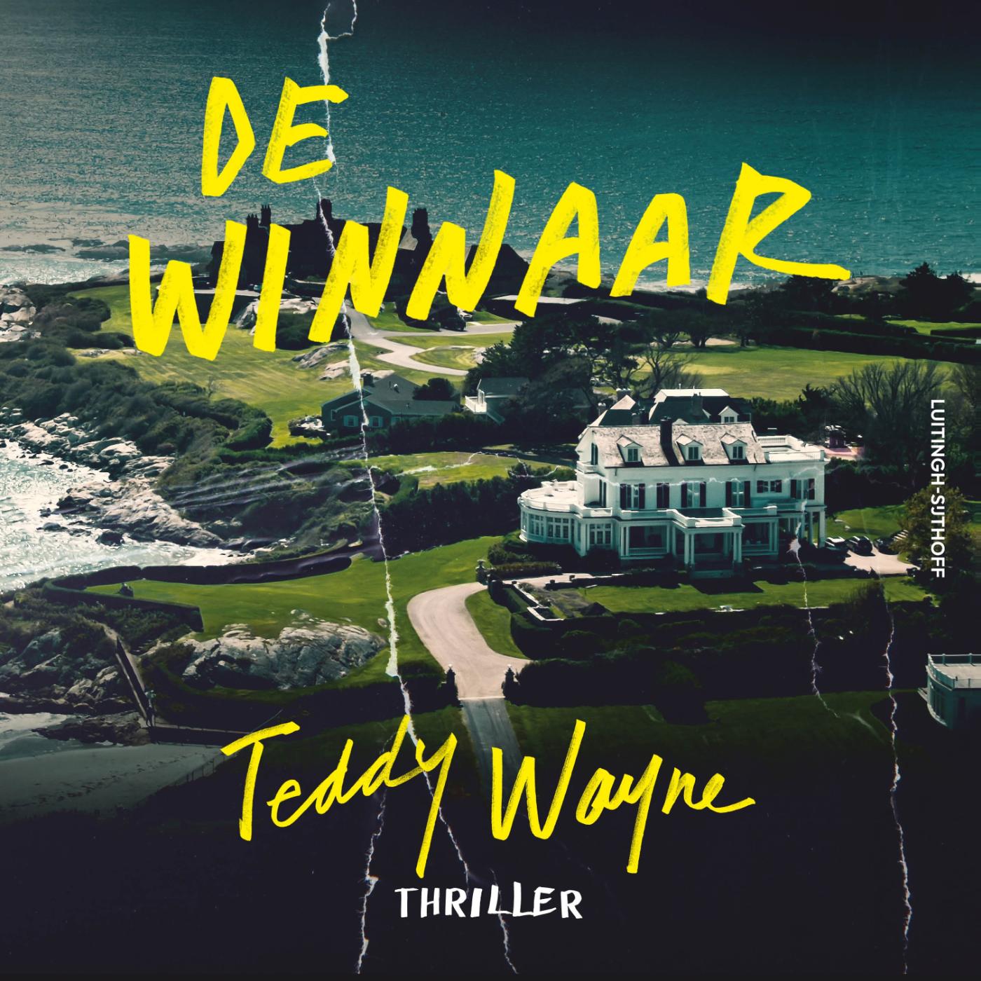 Omslag van De winnaar