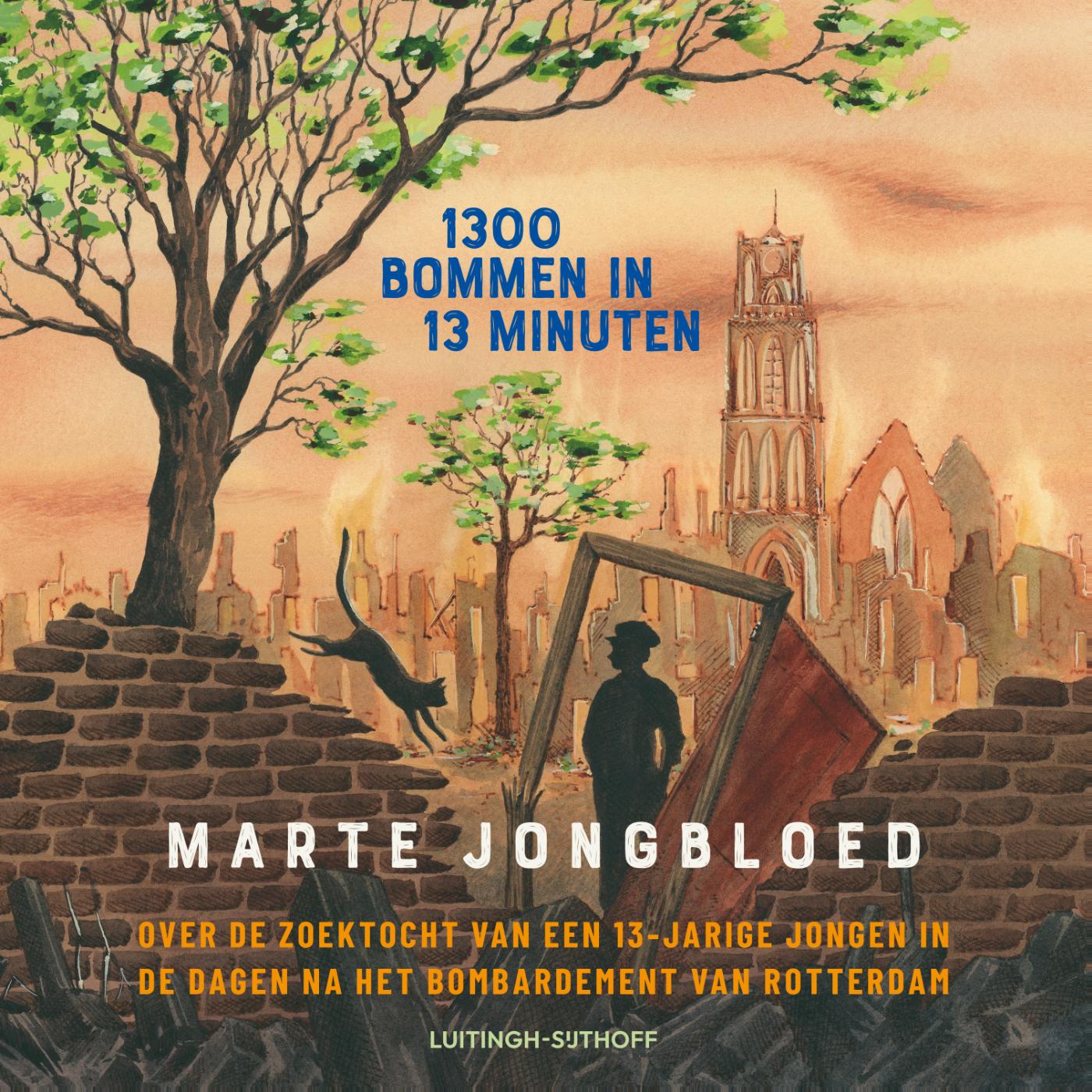 Omslag van 1300 bommen in 13 minuten