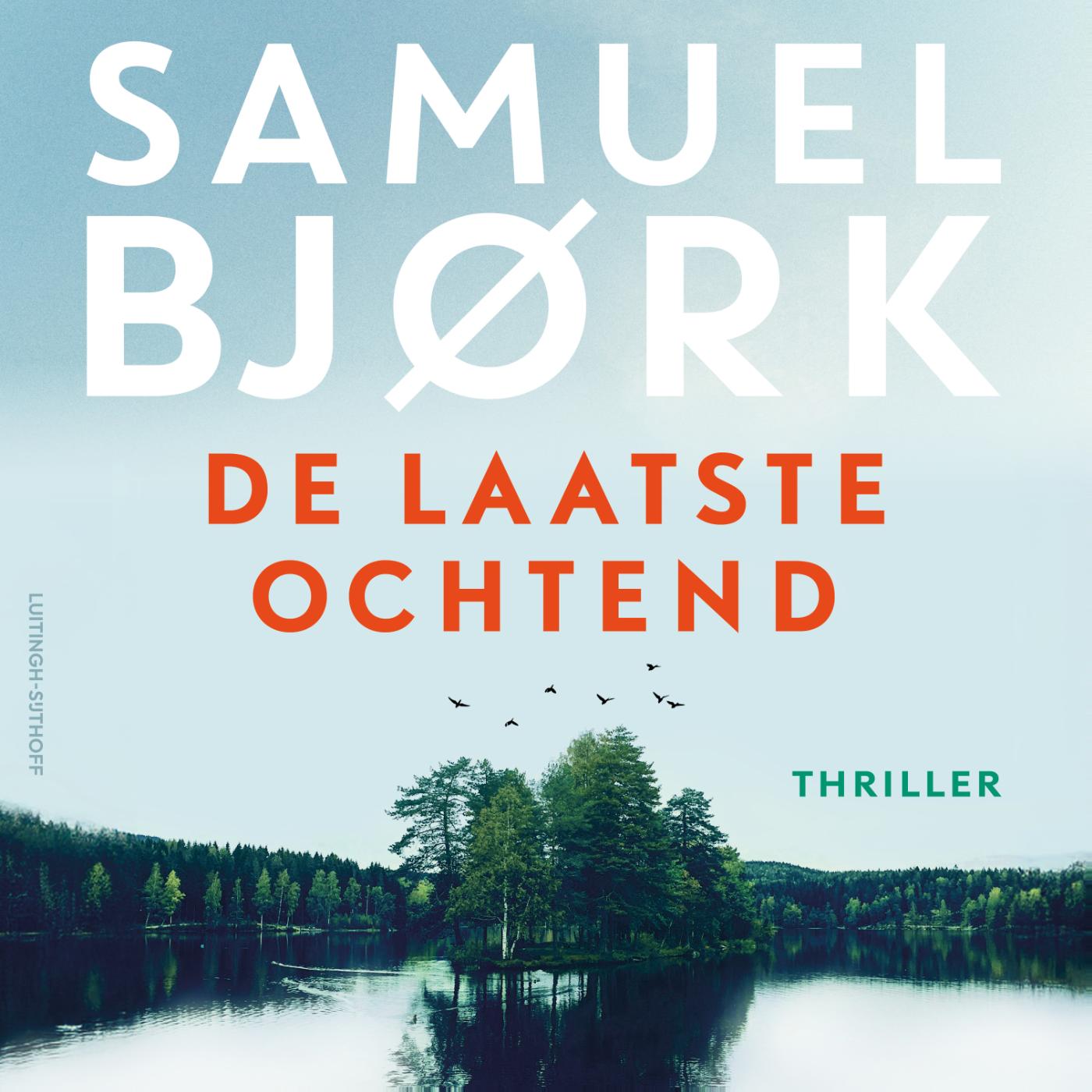 Omslag van De laatste ochtend