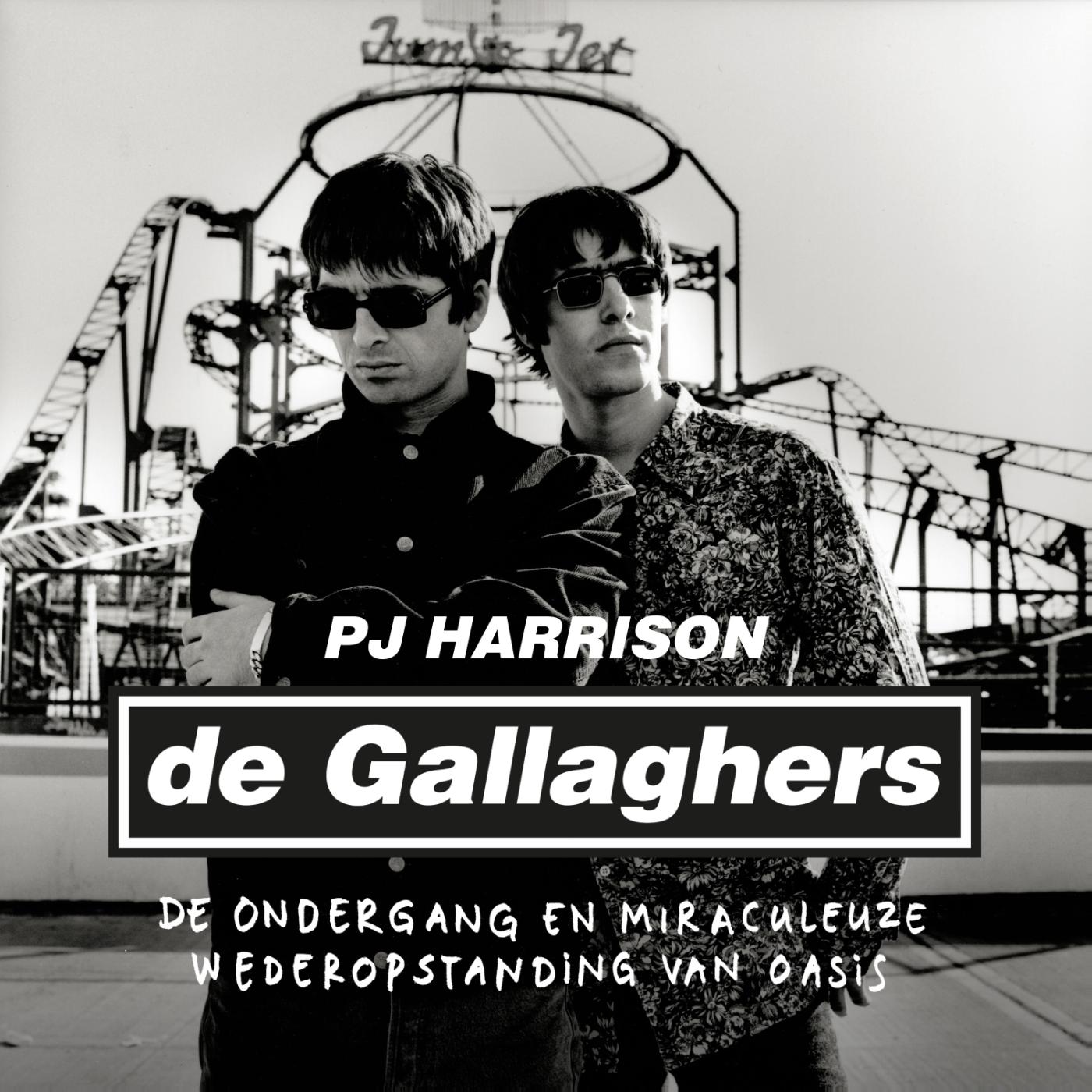 Omslag van De Gallaghers