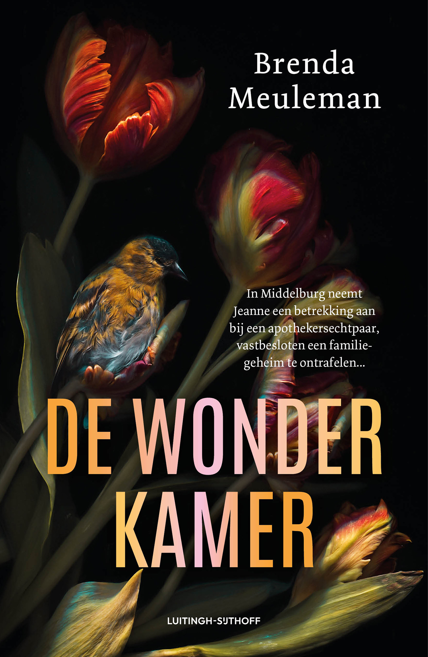 Omslag van De wonderkamer