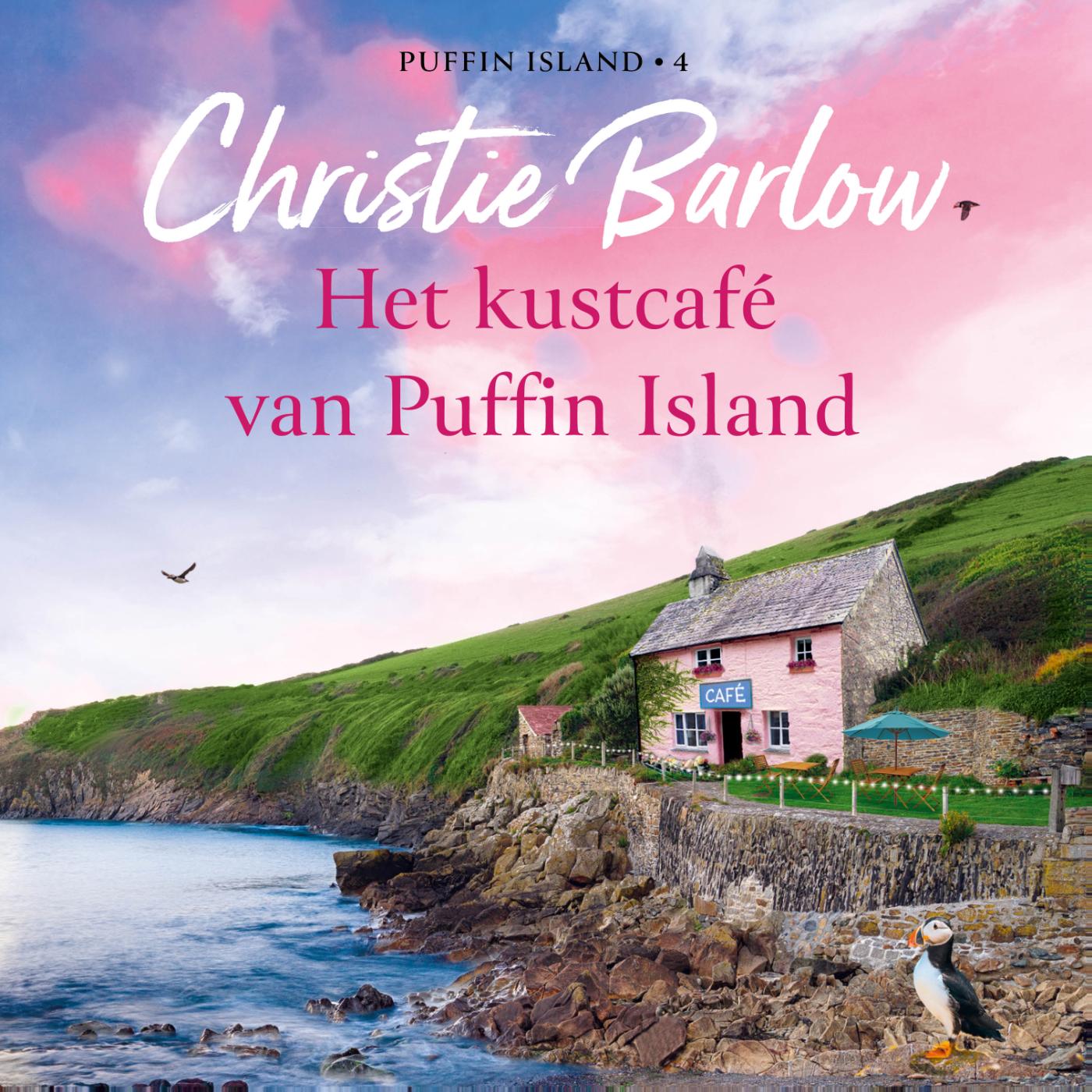 Omslag van Het kustcafé van Puffin Island