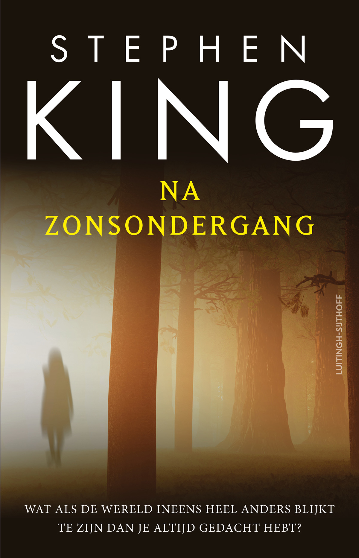 Omslag van Na zonsondergang