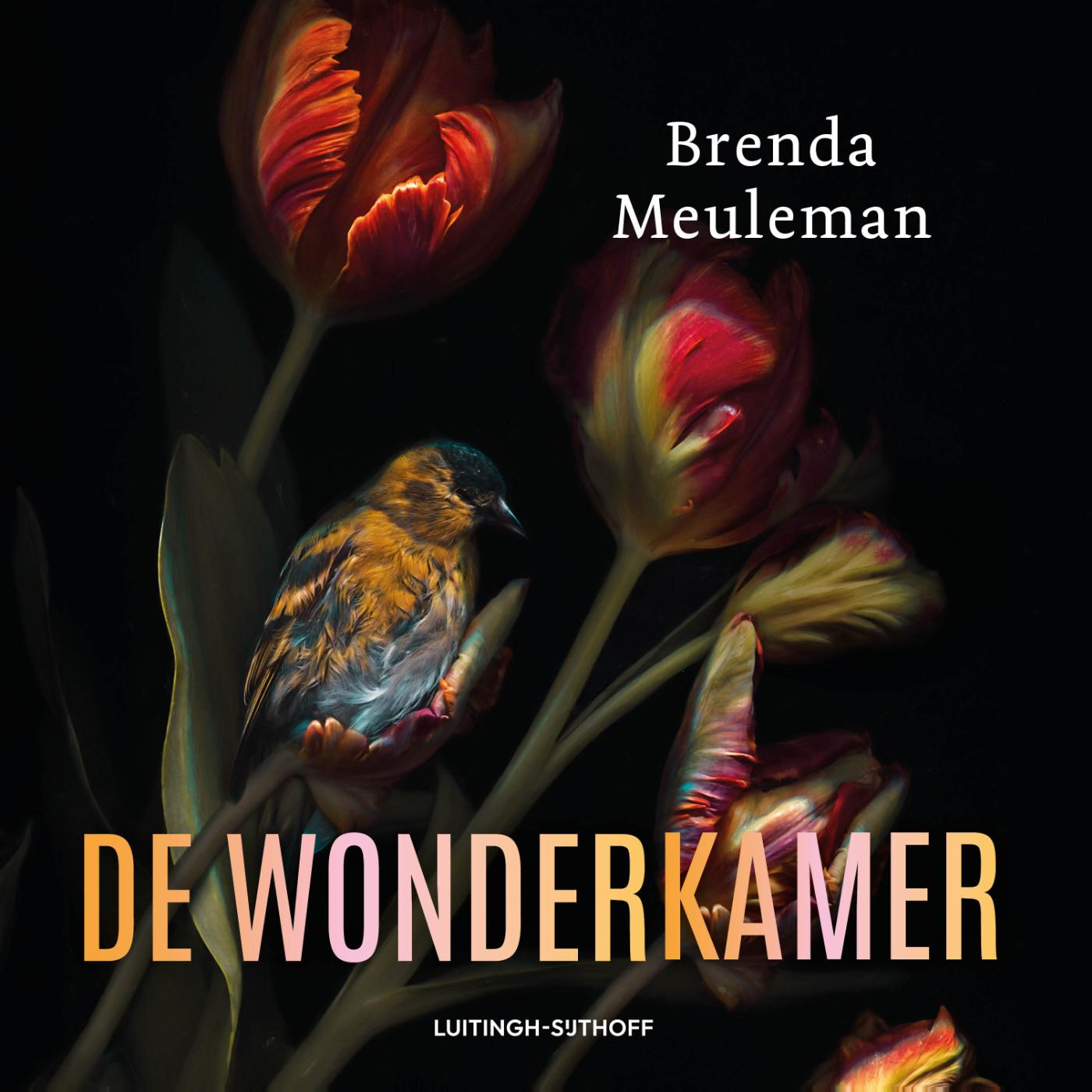 Omslag van De wonderkamer