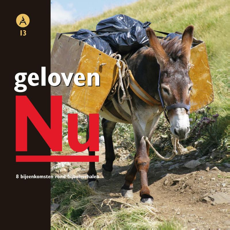Omslag van Geloven nu 13