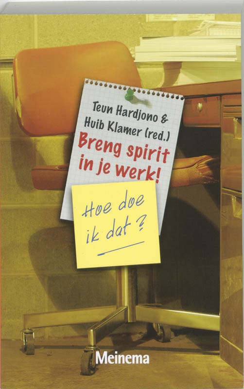 Omslag van Breng spirit in je werk! Hoe doe ik dat?