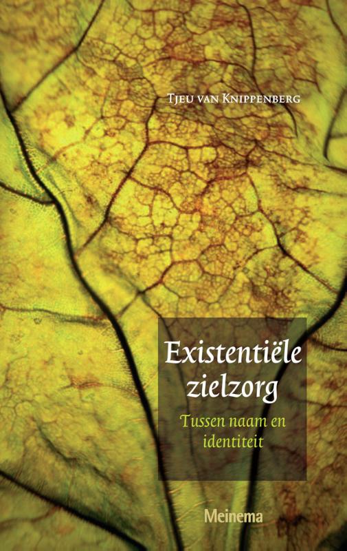 Omslag van Existentiële zielzorg