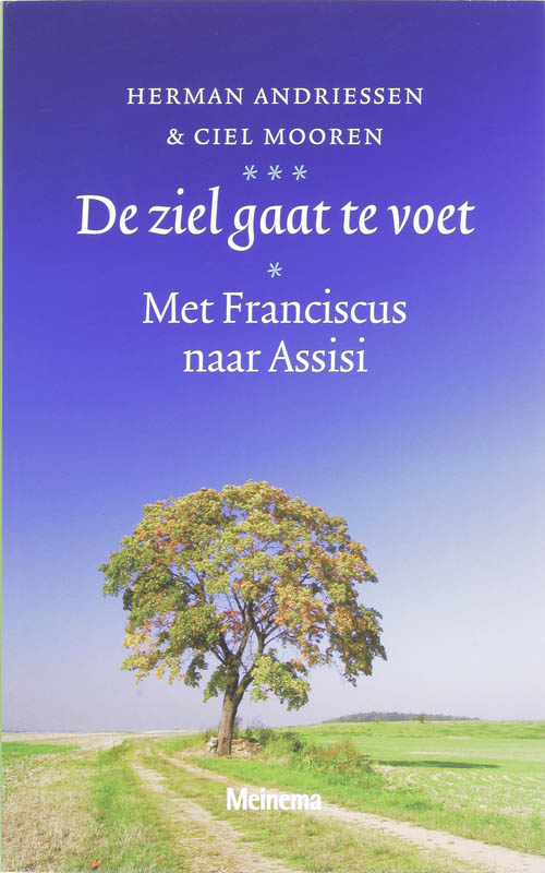 Omslag van De ziel gaat te voet