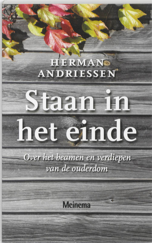 Omslag van Staan in het einde
