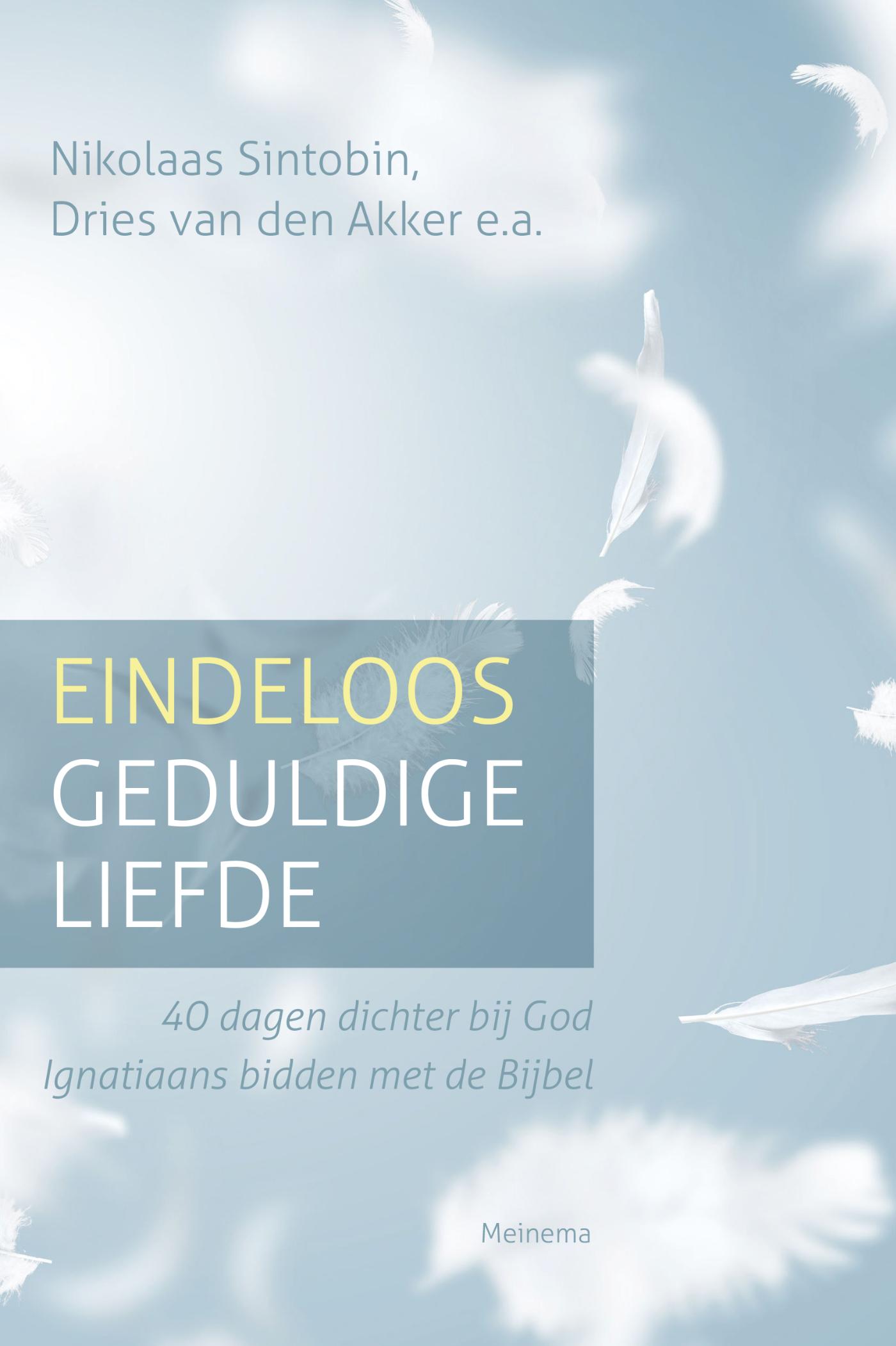 Omslag van Eindeloos geduldige liefde