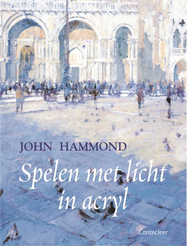 Omslag van Spelen met licht in acryl