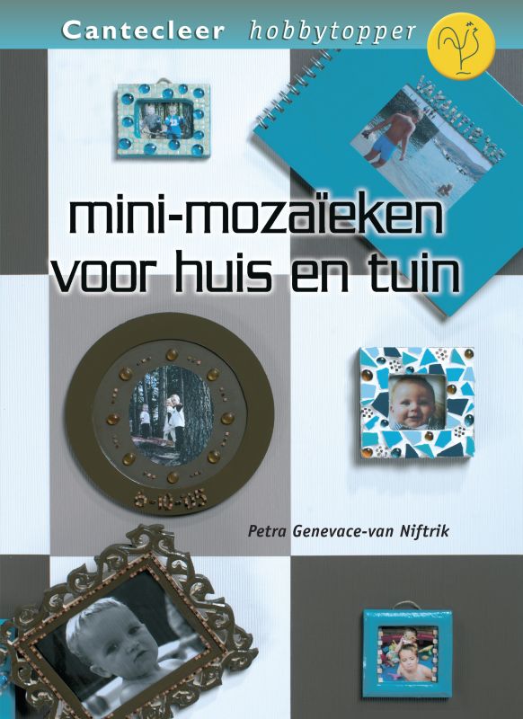 Omslag van Mini-mozaïeken voor huis en tuin