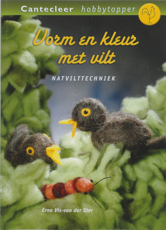 Omslag van Vorm en kleur met vilt