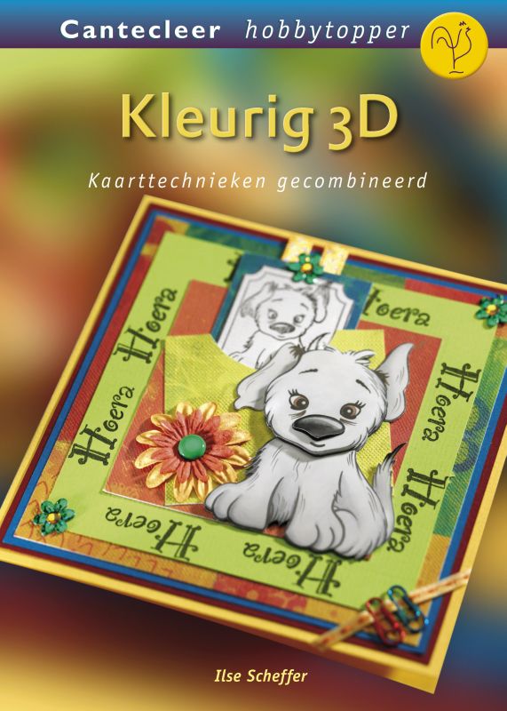 Omslag van Kleurig 3D