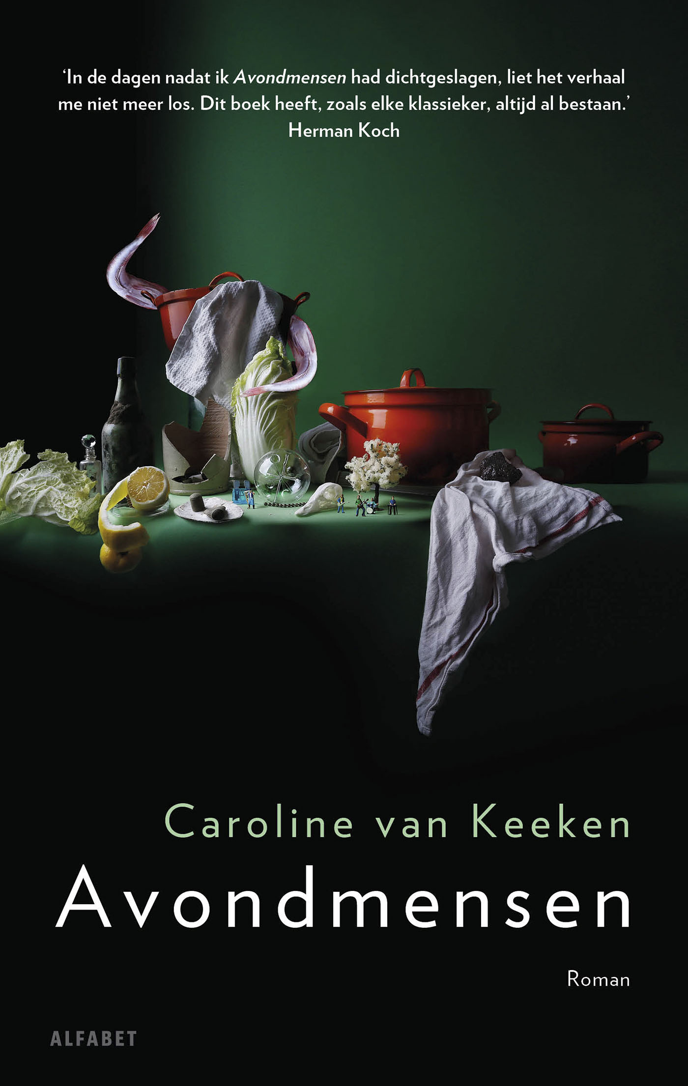 Omslag van Avondmensen