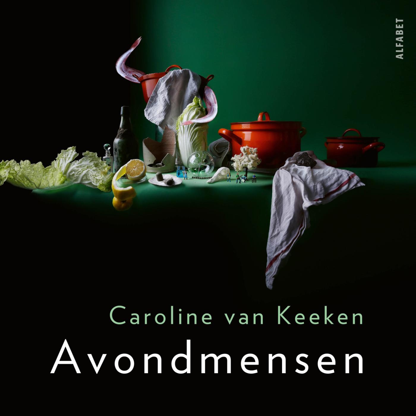 Omslag van Avondmensen