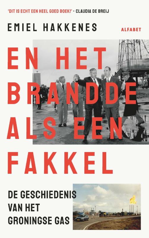 Omslag van En het brandde als een fakkel