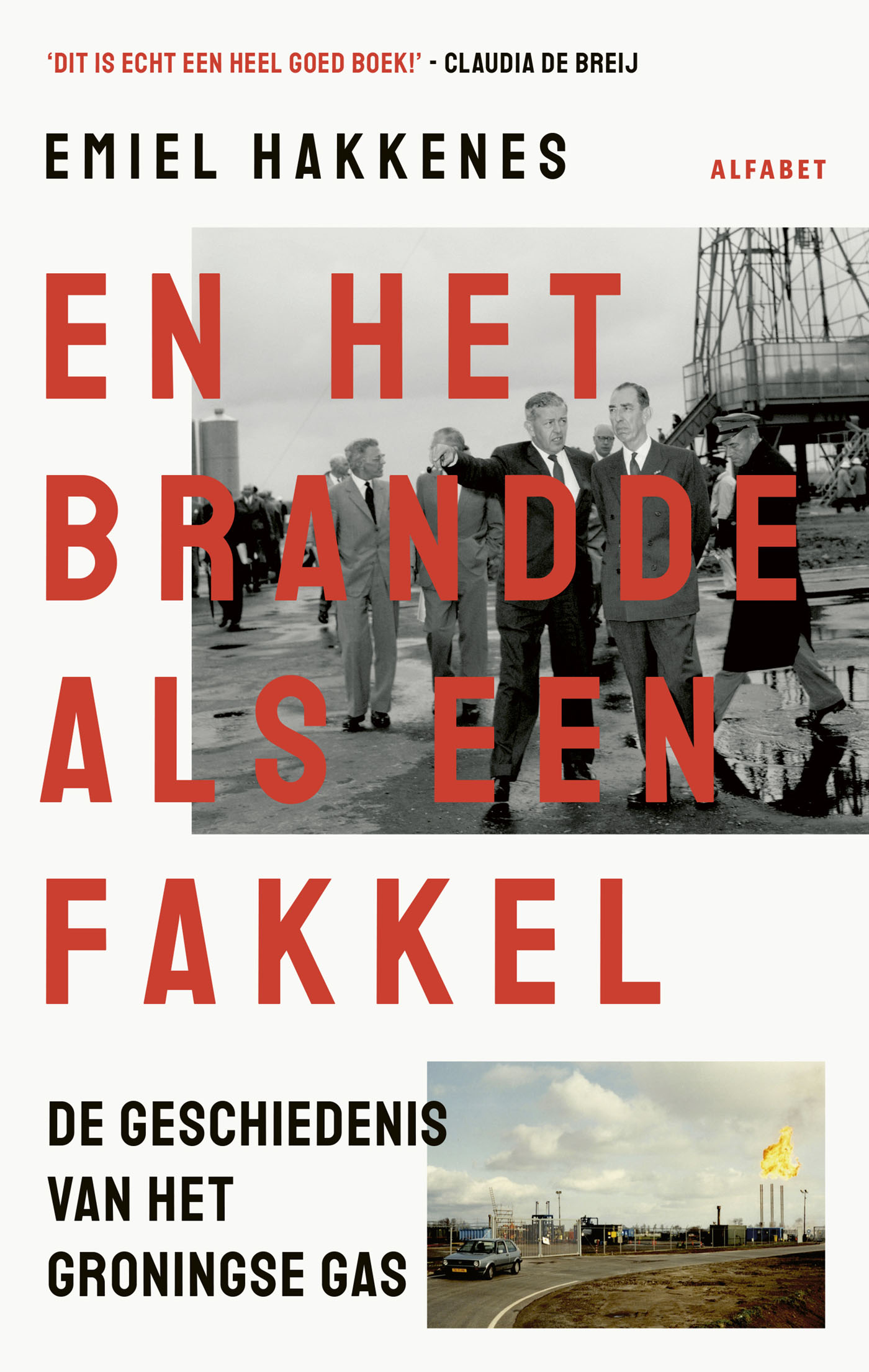 Omslag van En het brandde als een fakkel