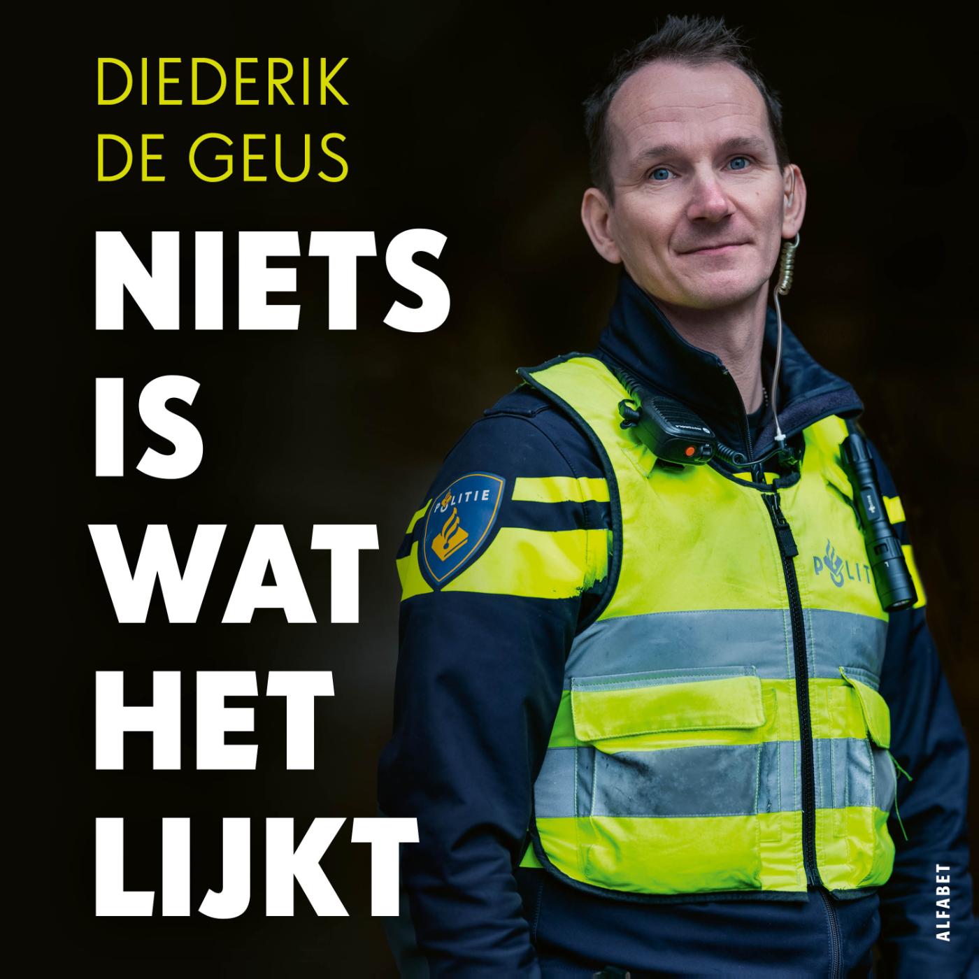 Omslag van Niets is wat het lijkt
