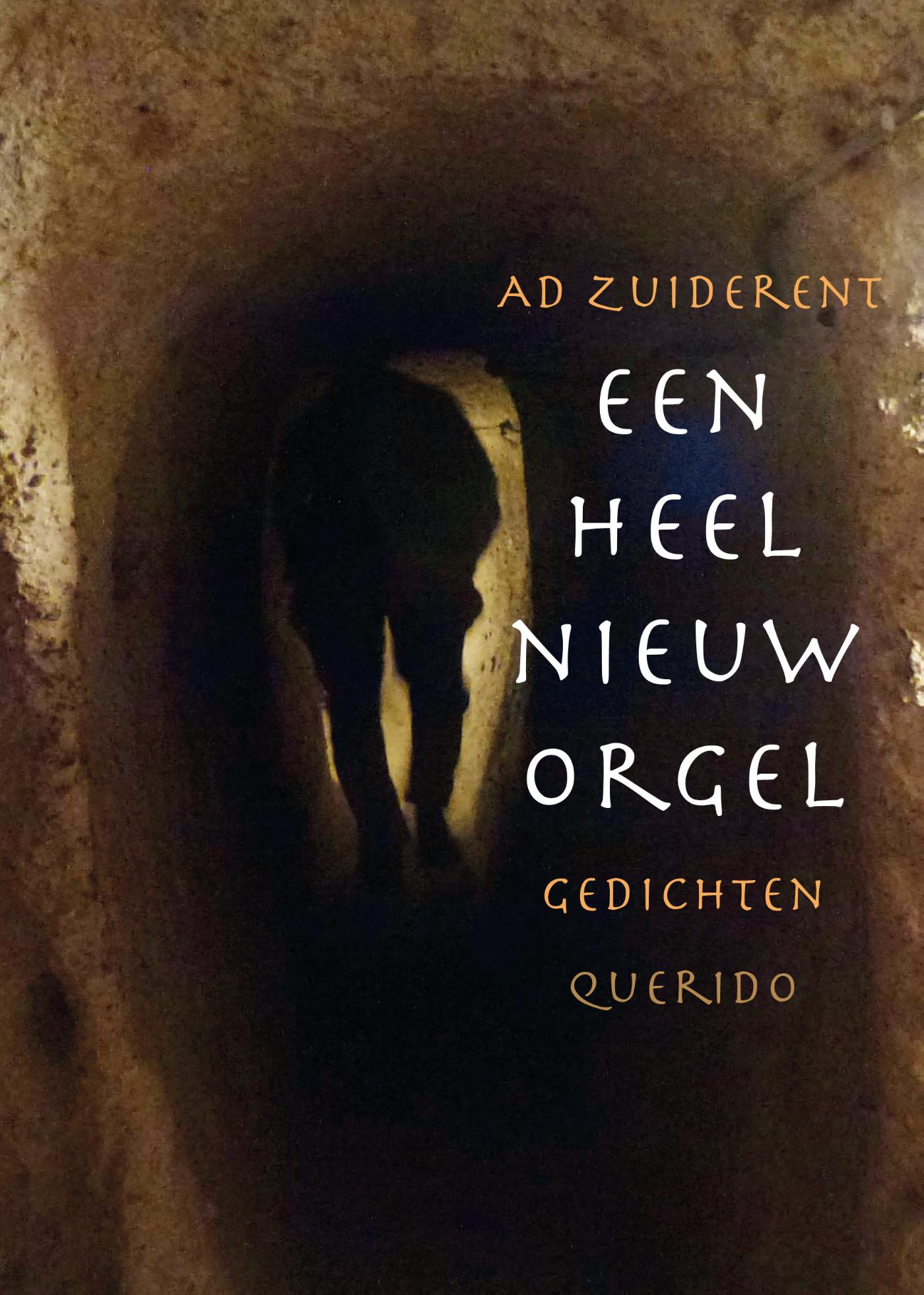 Omslag van Een heel nieuw orgel