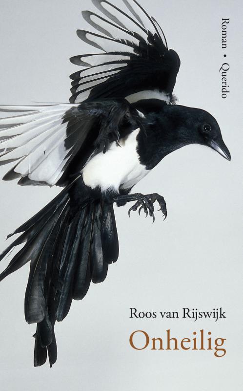 Omslag van Onheilig