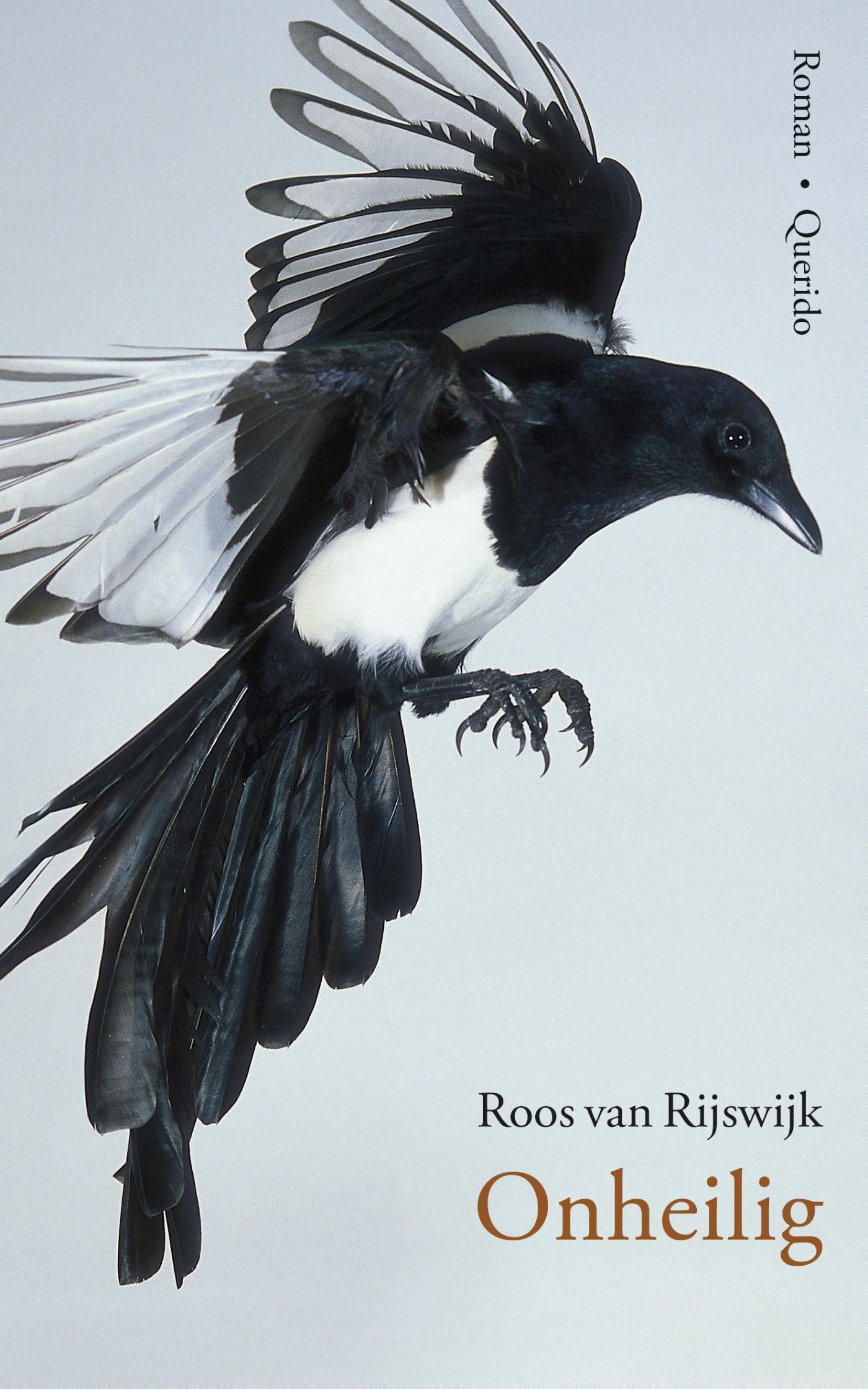 Omslag van Onheilig