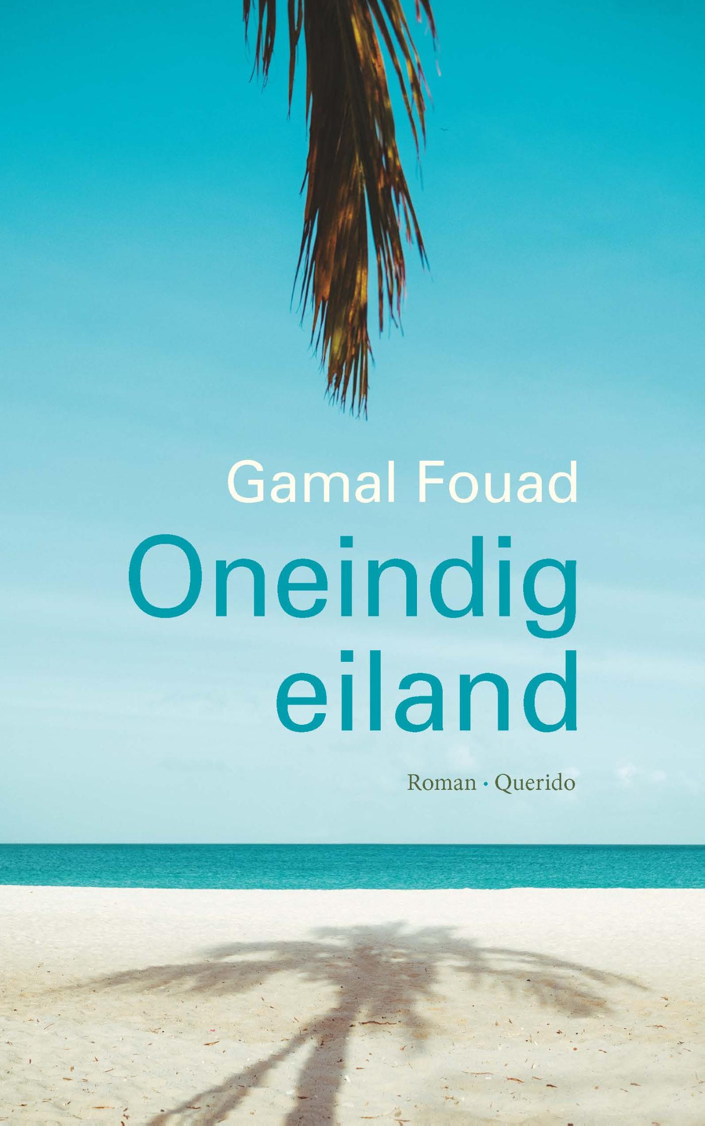 Omslag van Oneindig eiland