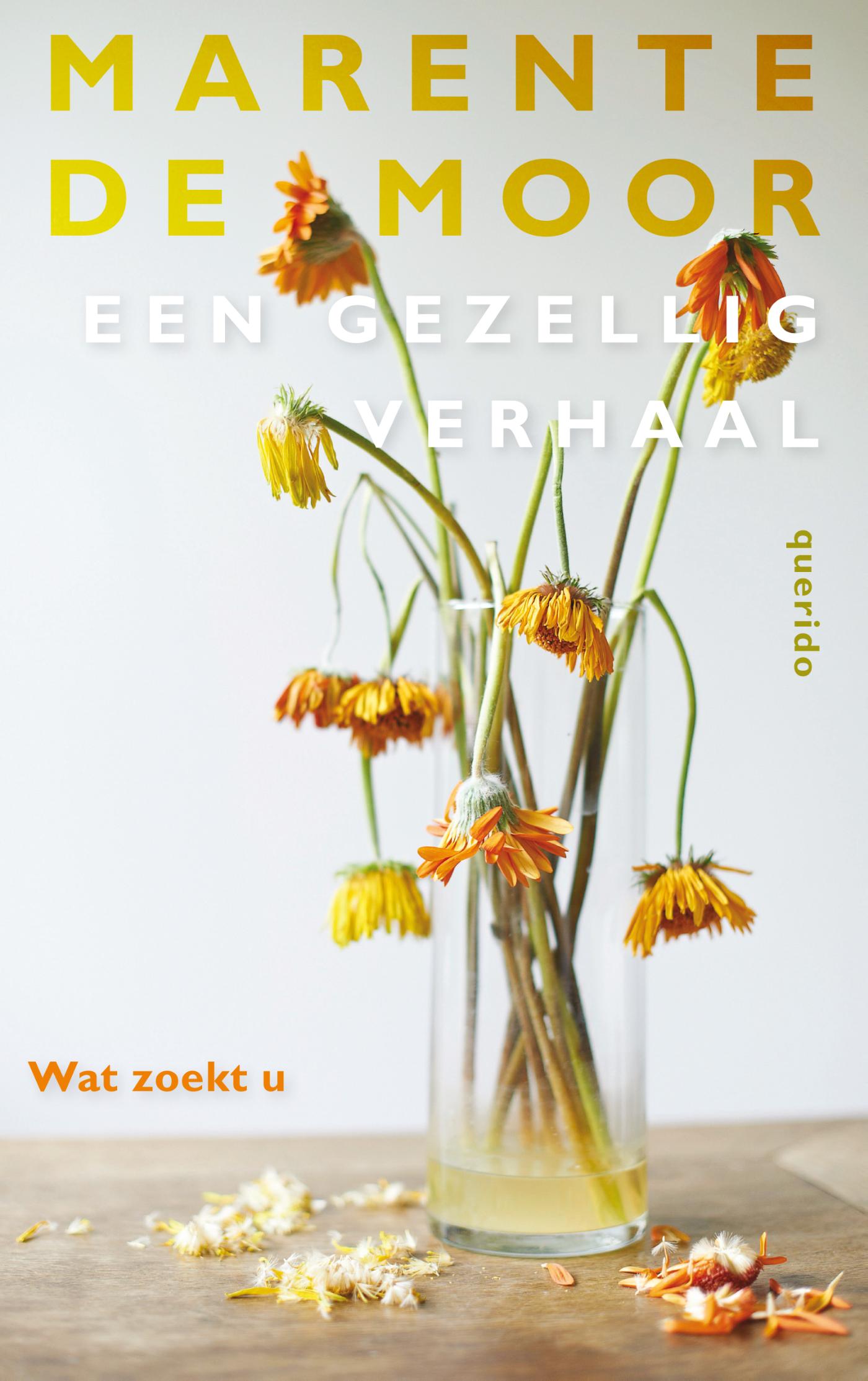 Omslag van Wat zoekt u