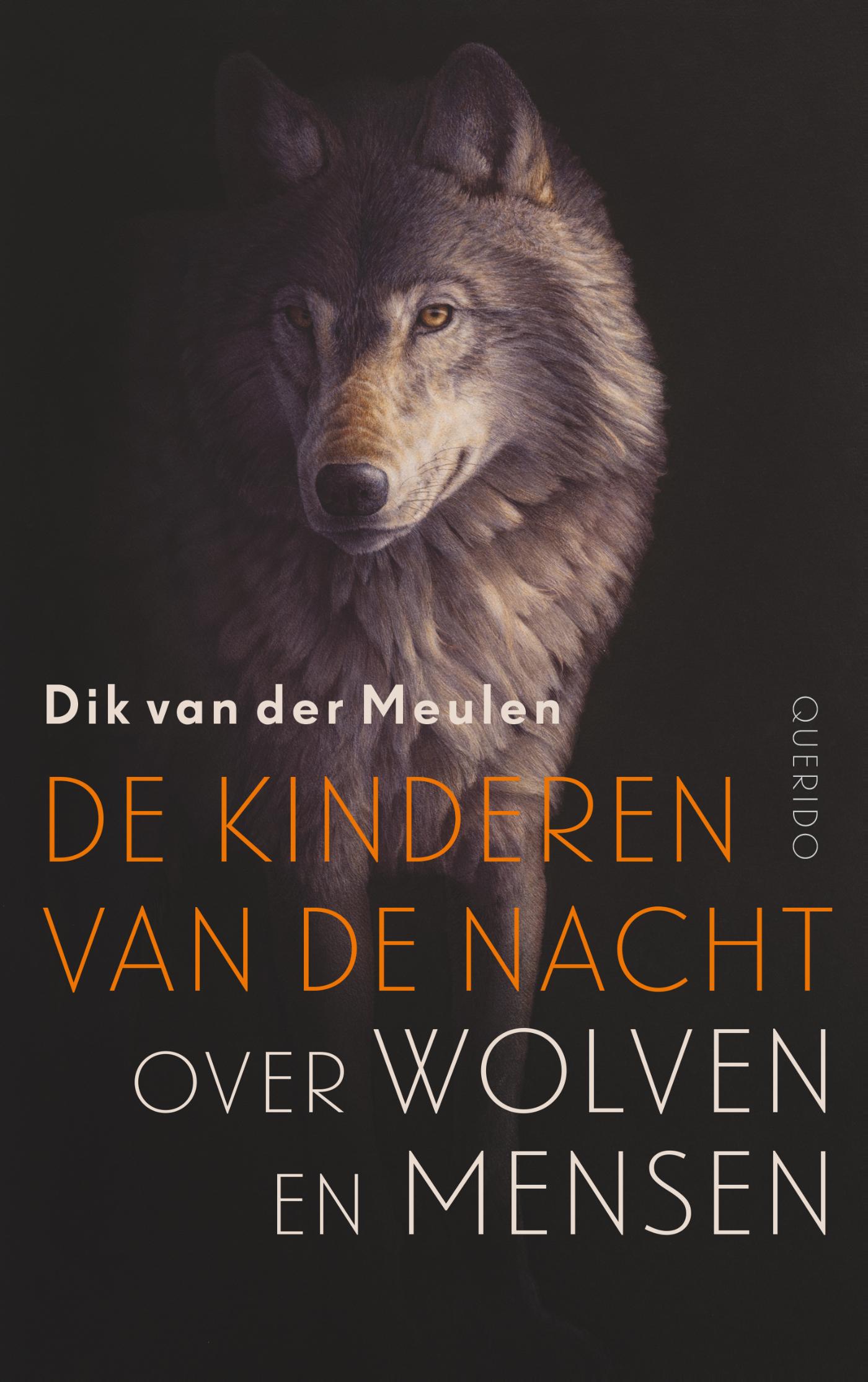 Omslag van De kinderen van de nacht