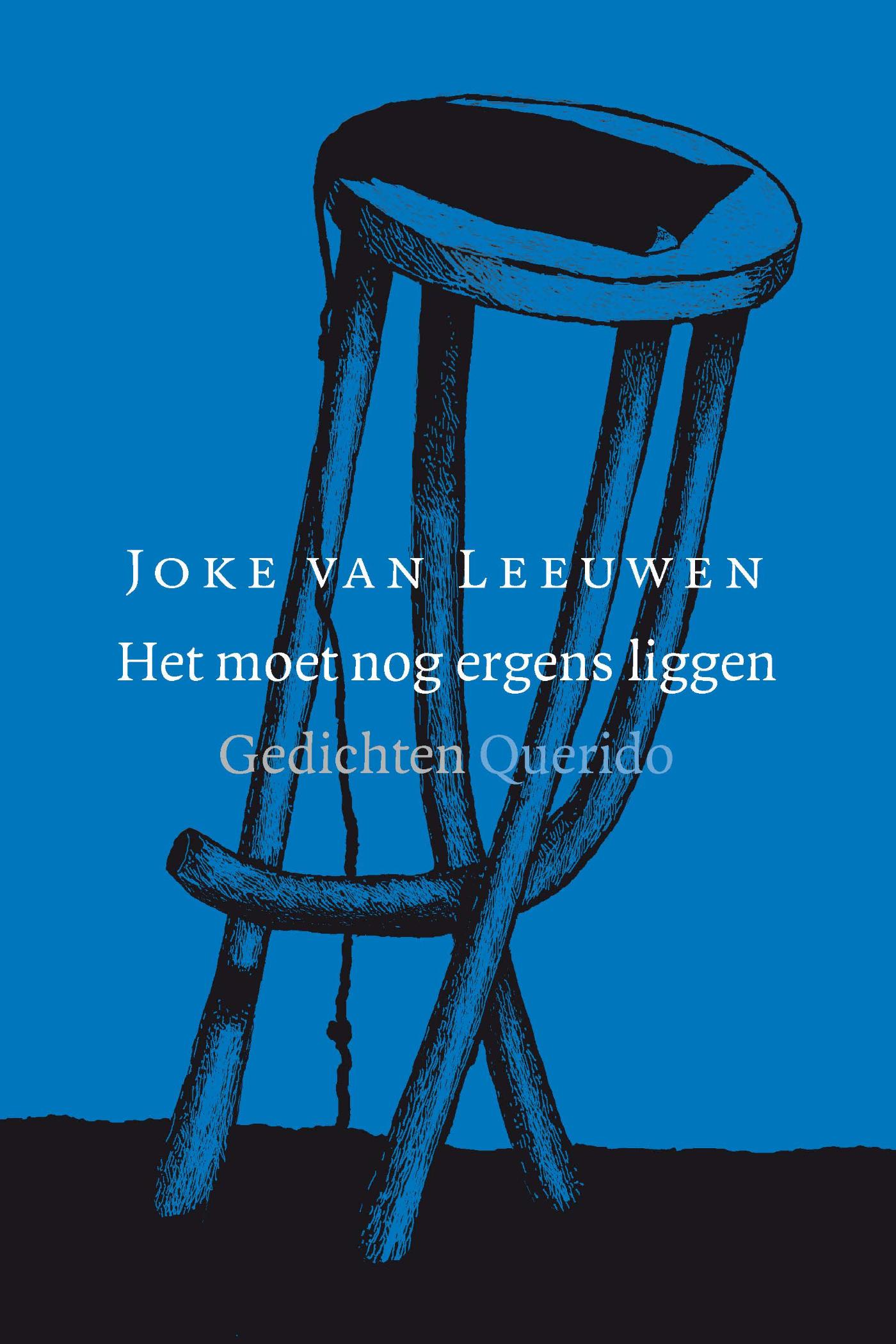 Omslag van Het moet nog ergens liggen