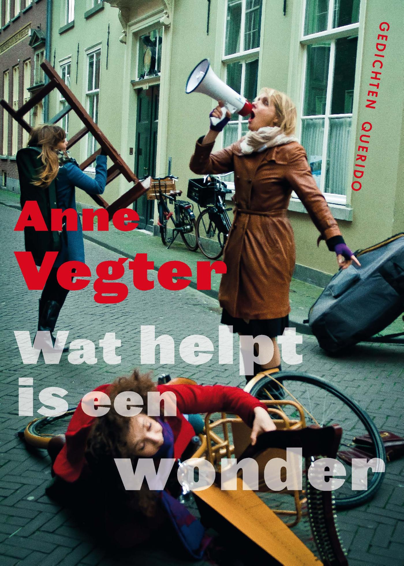 Omslag van Wat helpt is een wonder